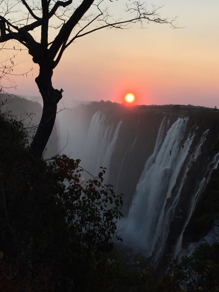 1-Day Wild Chobe Safari from Victoria Falls