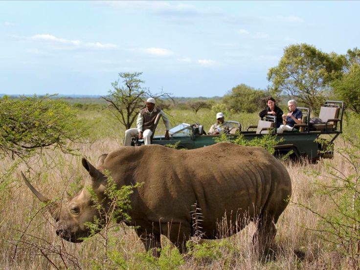 3-Day Chobe Safari Adventure -Boat Cruises & Game Drives