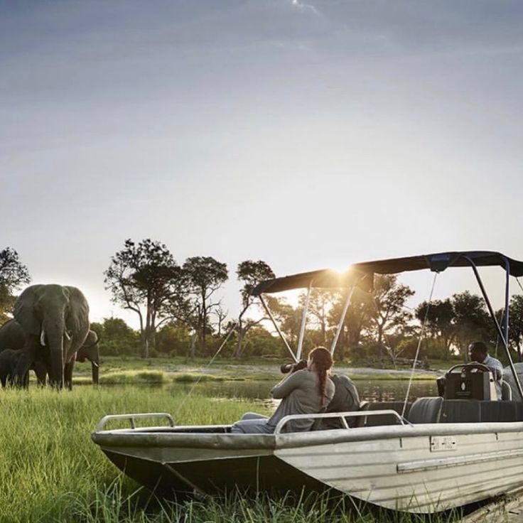 2-Day Okavango Delta Luxury Safari Escape