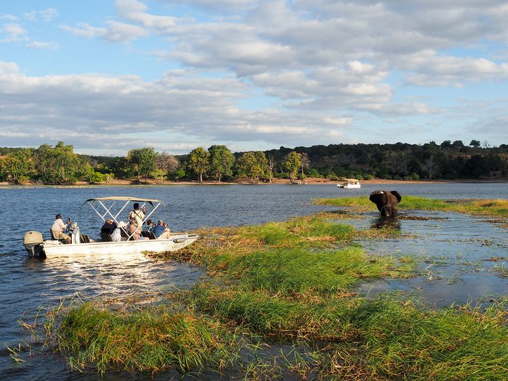 3-Day Authentic Chobe Safari – Big Five & Luxury Stay