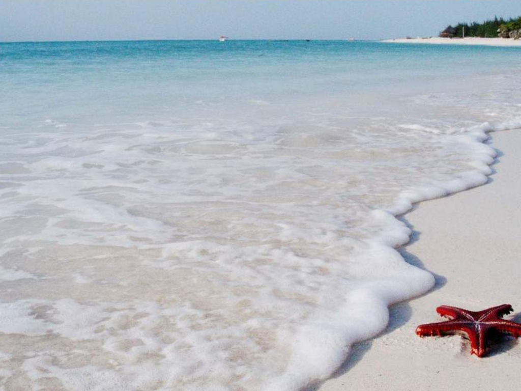 Safari y Playas – 9 Días: Lo Mejor de Tanzania y Zanzíbar