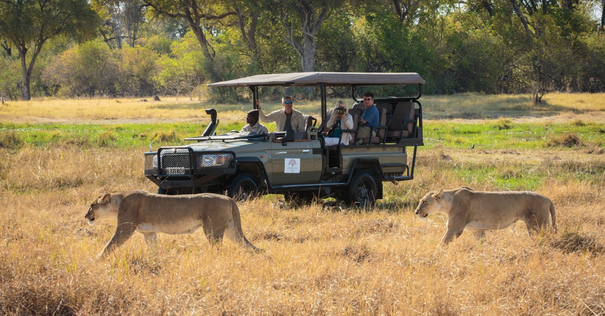 3-Day Kruger Wildlife Luxury Adventure