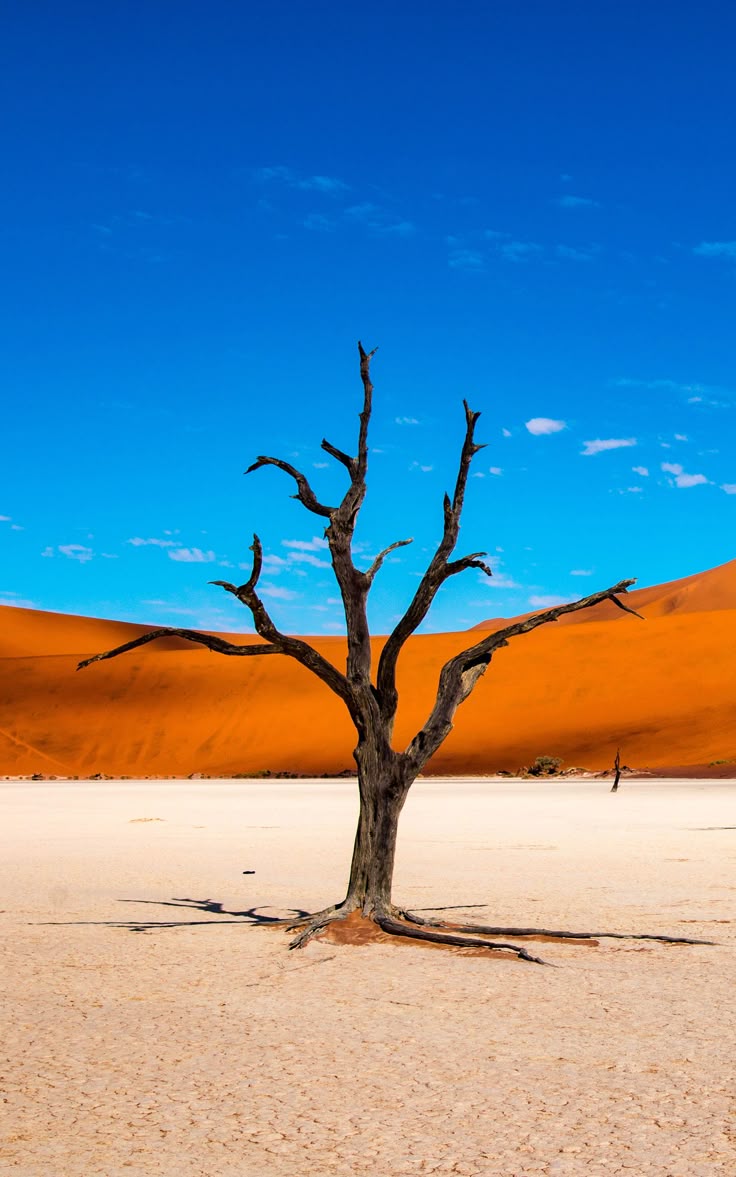 12-Day Namibia Wildlife & Cultural Safari Adventure