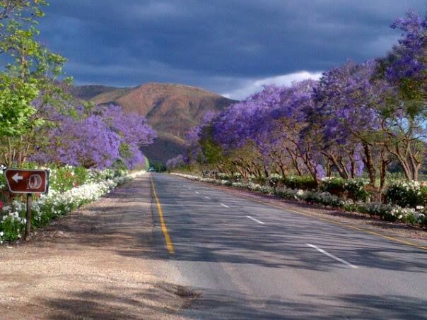 2-Day Cape Peninsula & Wine Country Tour – Beauty & Flavours