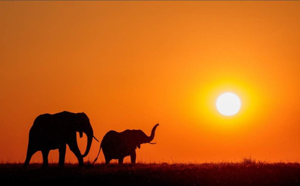 Safari de gama media en el Nguni Lodge – 5 días