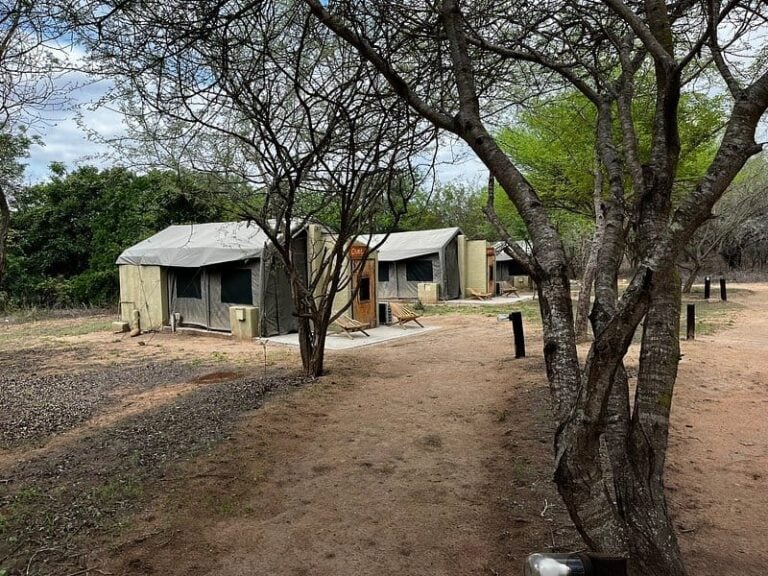 5 day budget wildlife safari – Kruger glamping