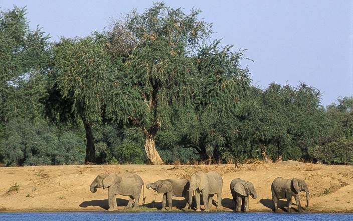 Crucero con Cena al Atardecer por el Zambezi – Cataratas Victoria – Medio Día