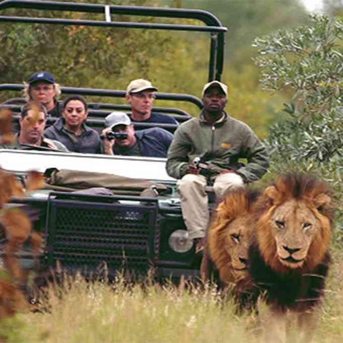 4-Day Sabi Sands Safari at Umkumbe Safari Lodge