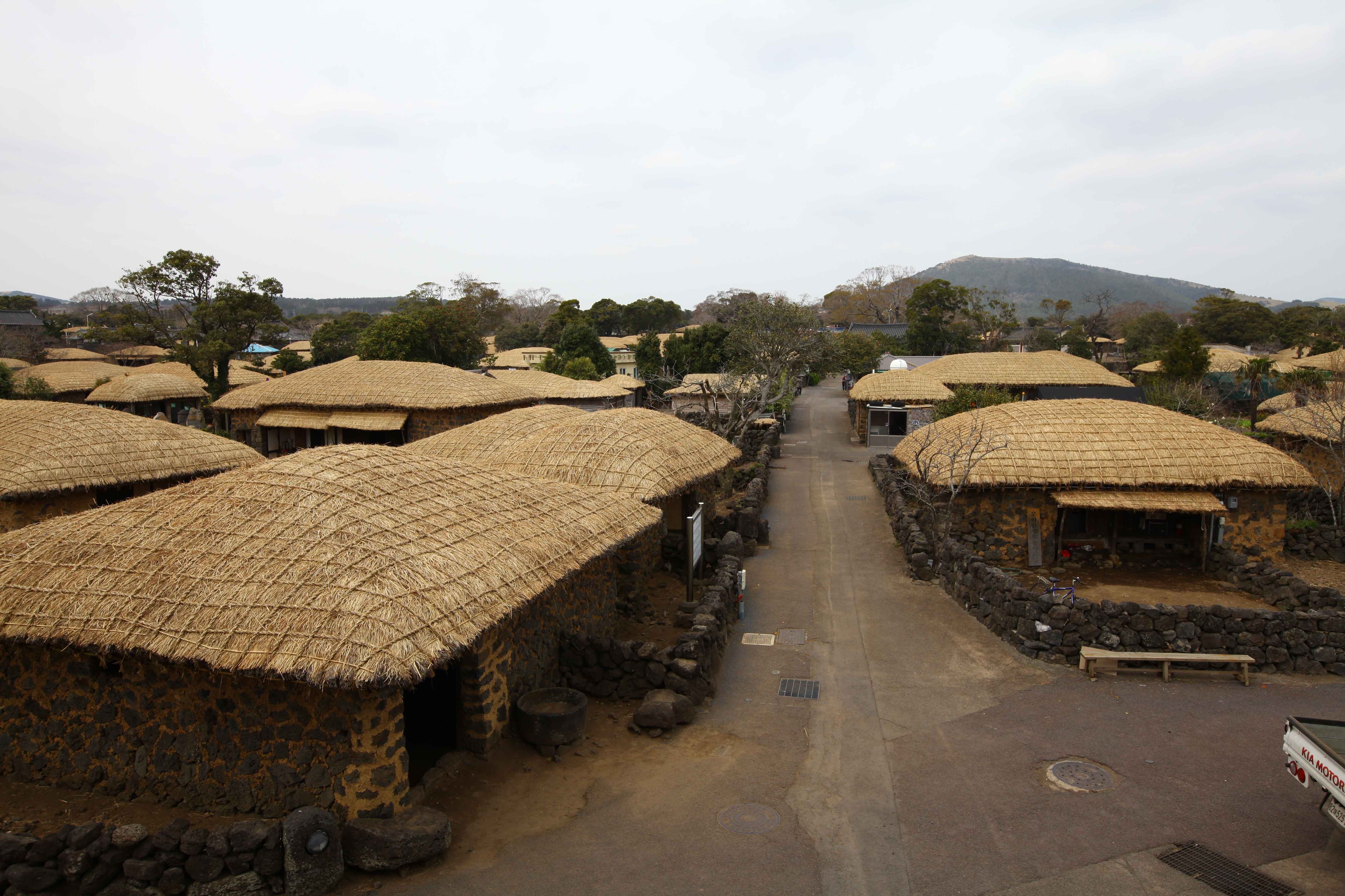 Jeju Customized Private Tour