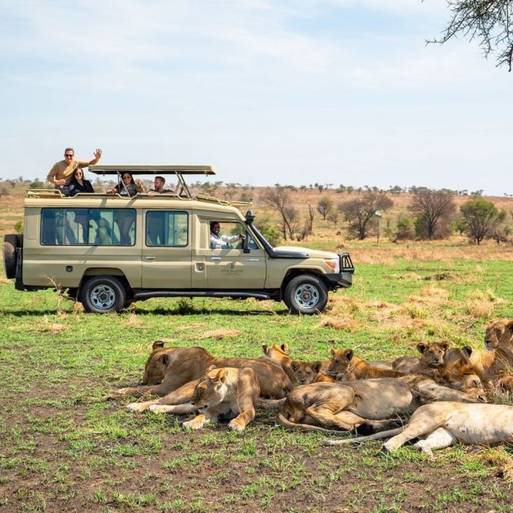 1-Day Cape Town Big Five Adventure with All Meals