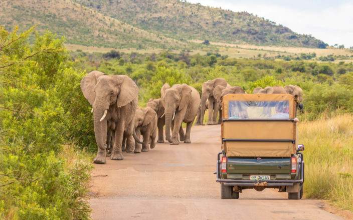 3 day Pilanesberg safari experience – Kwa Maritane