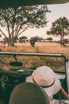 1-Day Kruger Safari at Sunset – Chase the Big Five at Dusk