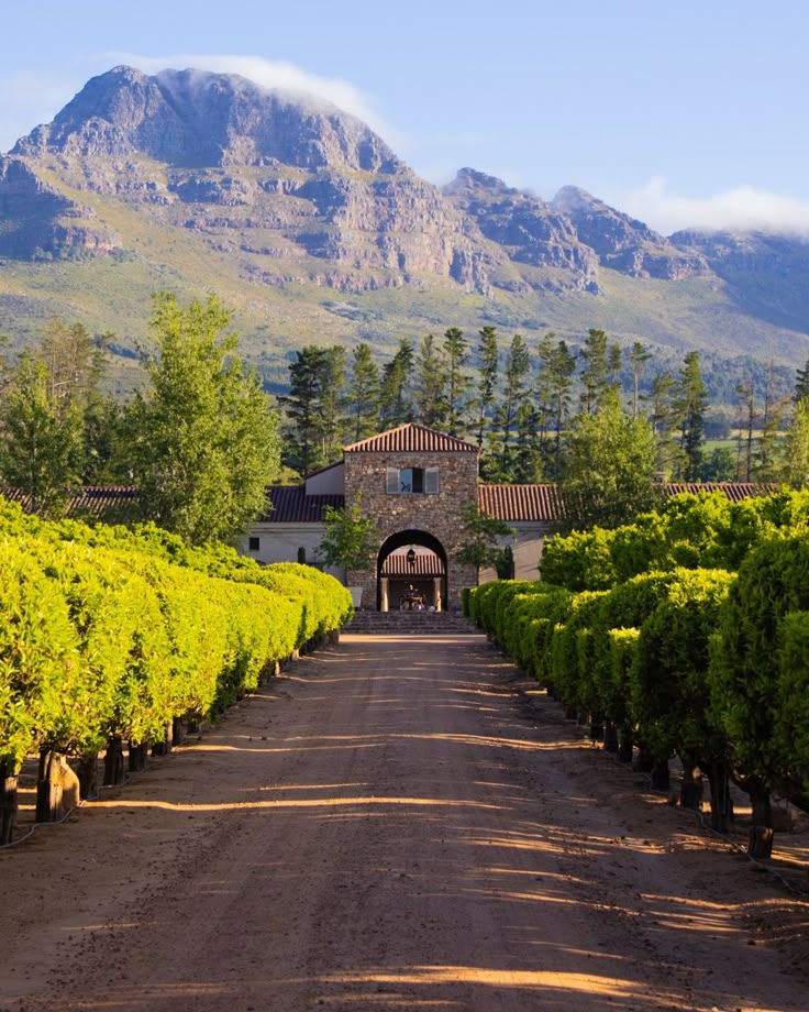 2-Day Cape Peninsula & Wine Country Tour – Beauty & Flavours