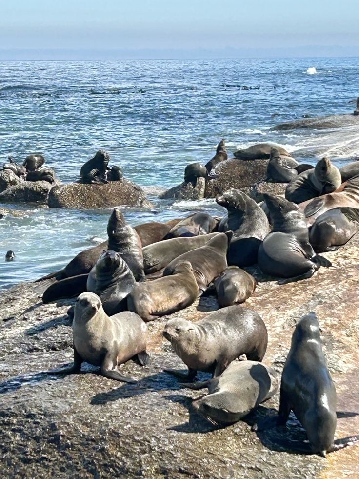 Safari de aventura costera y vida silvestre – 3 días