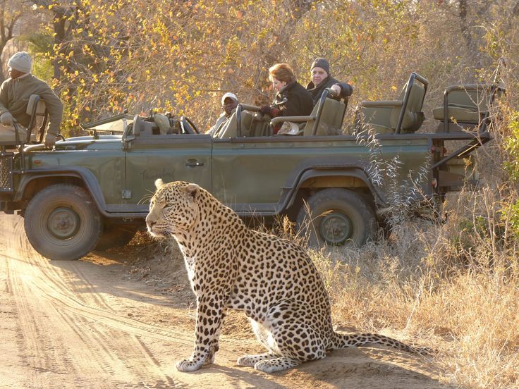 2-Day Safari Getaway near Cape Town – Big Five Adventure
