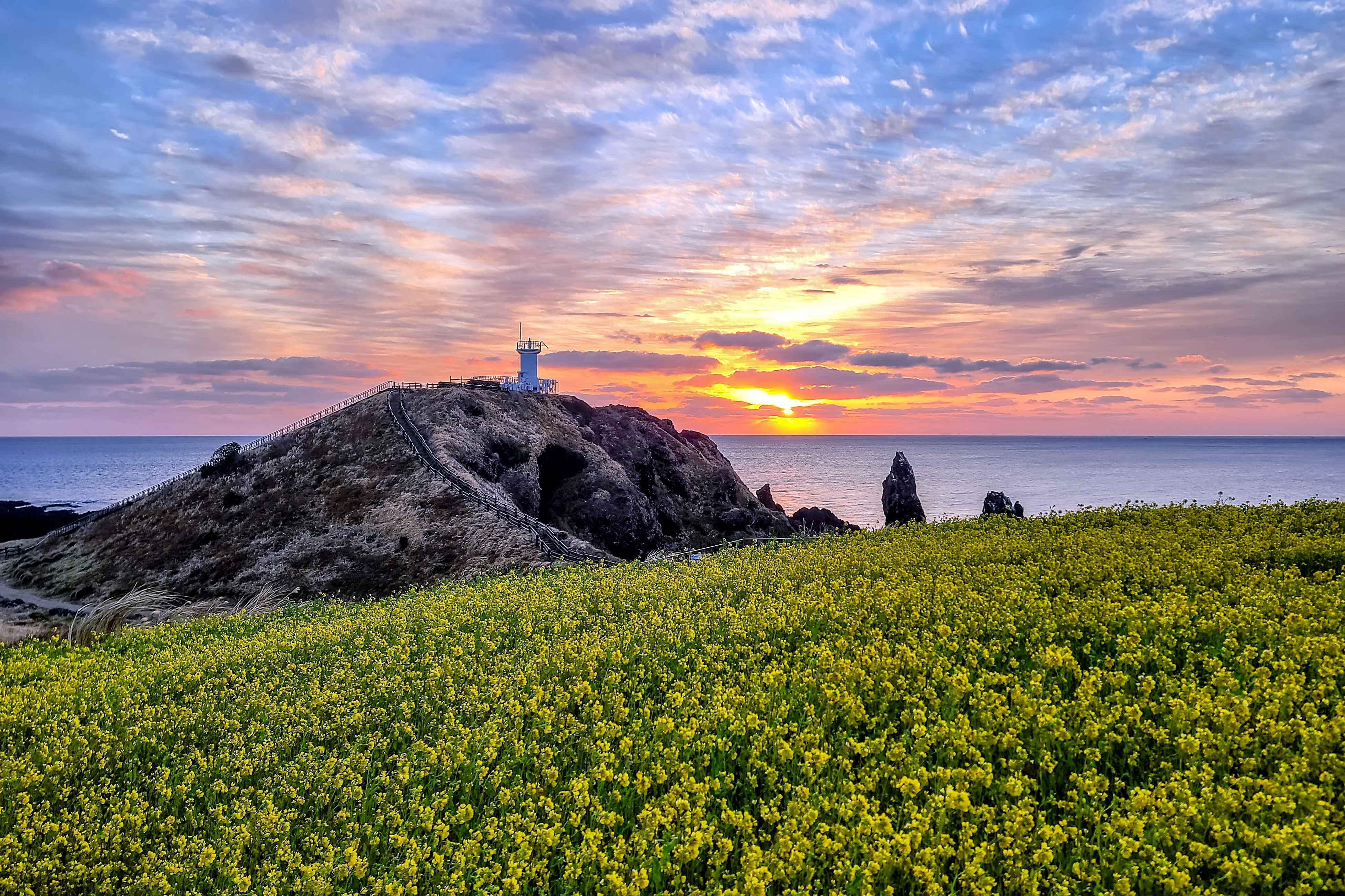 Jeju Customized Private Tour