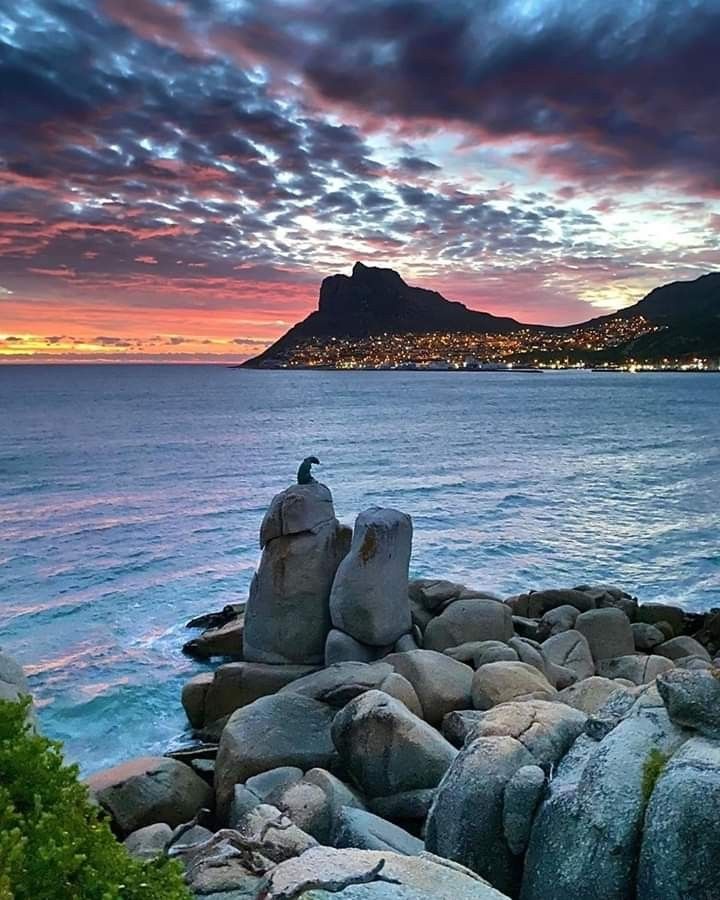 1-Day Explore the Cape Winelands – Paarl to Franschhoek