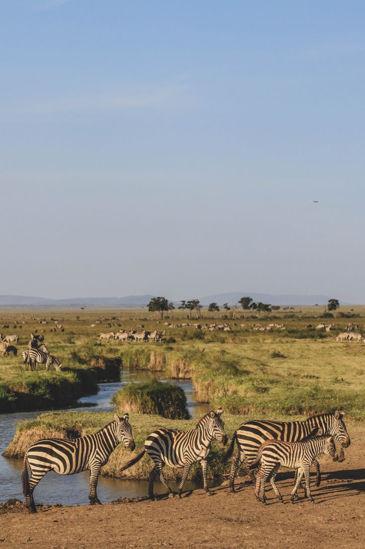 2-Day Luxury Kruger Safari – Big Five Adventure