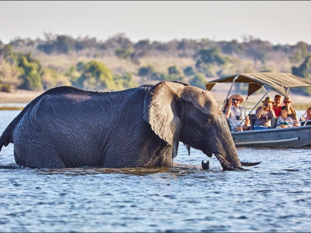 3-Day Wildlife Combo – Victoria Falls & Chobe Safari