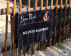 Herencia de Soweto y aventura en el Parque de Leones – 1 día