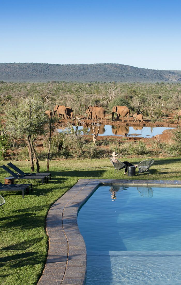 5-Day Madikwe Game Reserve Safari