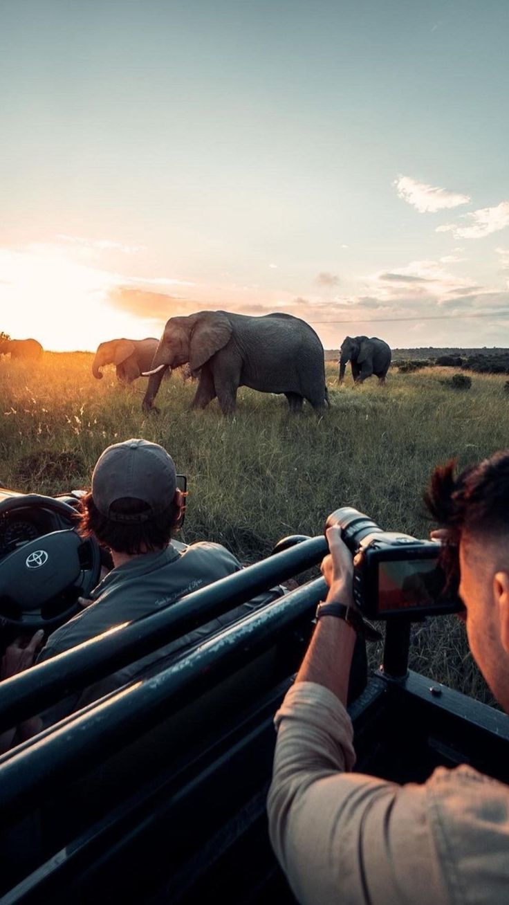 1-Day Kruger Safari at Sunset – Chase the Big Five at Dusk