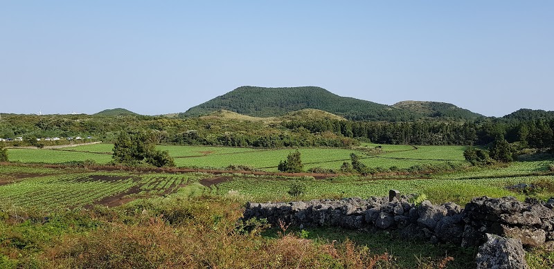 Jeju East Coast Shared Transport Tour (7 passengers max)