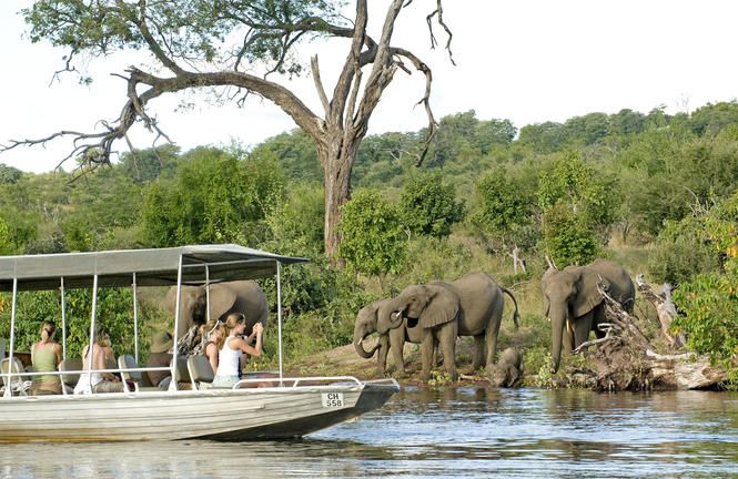 3-Day Chobe and Okavango Wildlife Safari