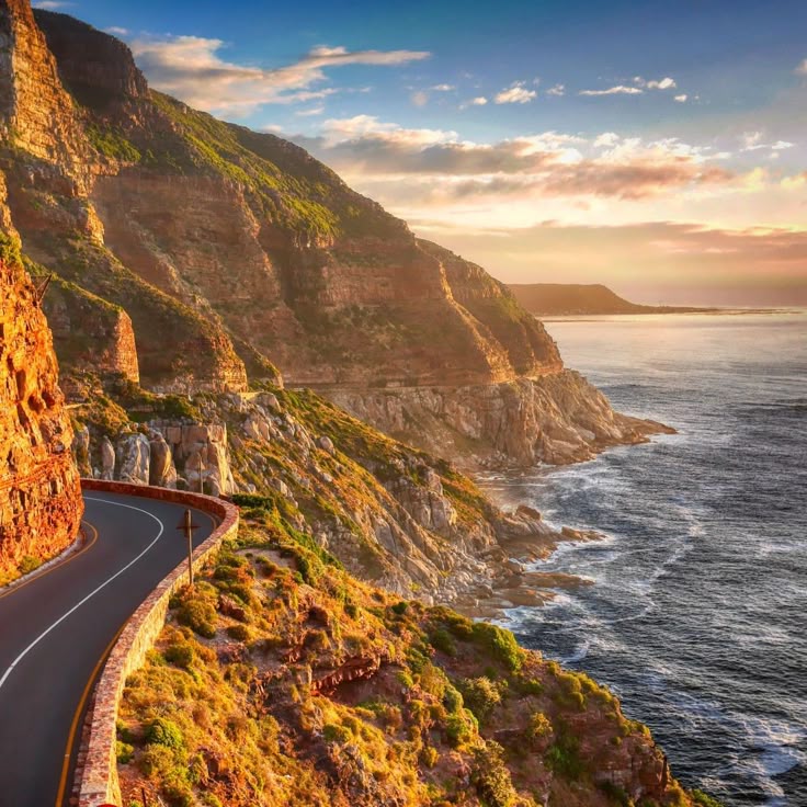 2-Day Scenic Garden Route Safari – Cape Town Adventure