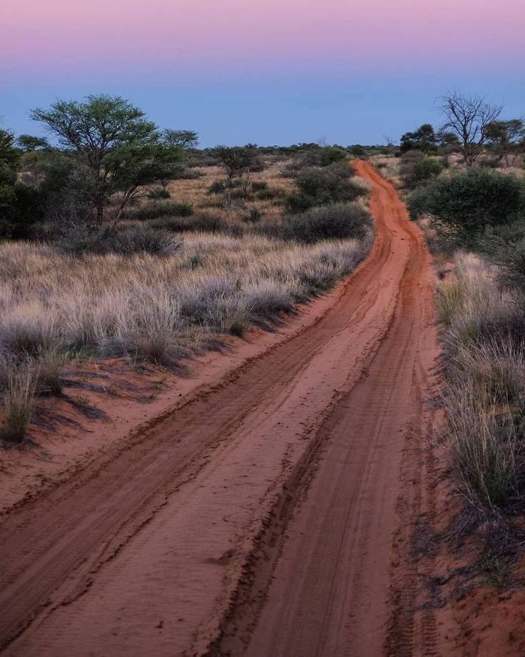 2-Day Etosha Safari from Windhoek – Lions, Elephants & More