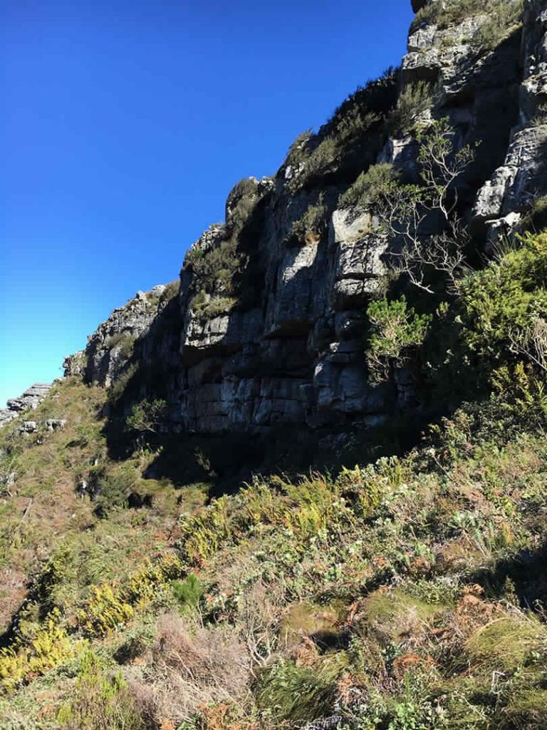 1-Day Skeleton Gorge Guided Morning Hike | ±6 Hours