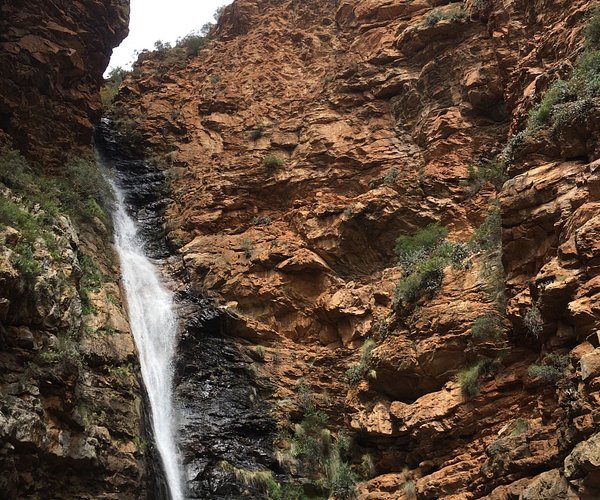 7-Day Garden Route & Cape Winelands Exploration