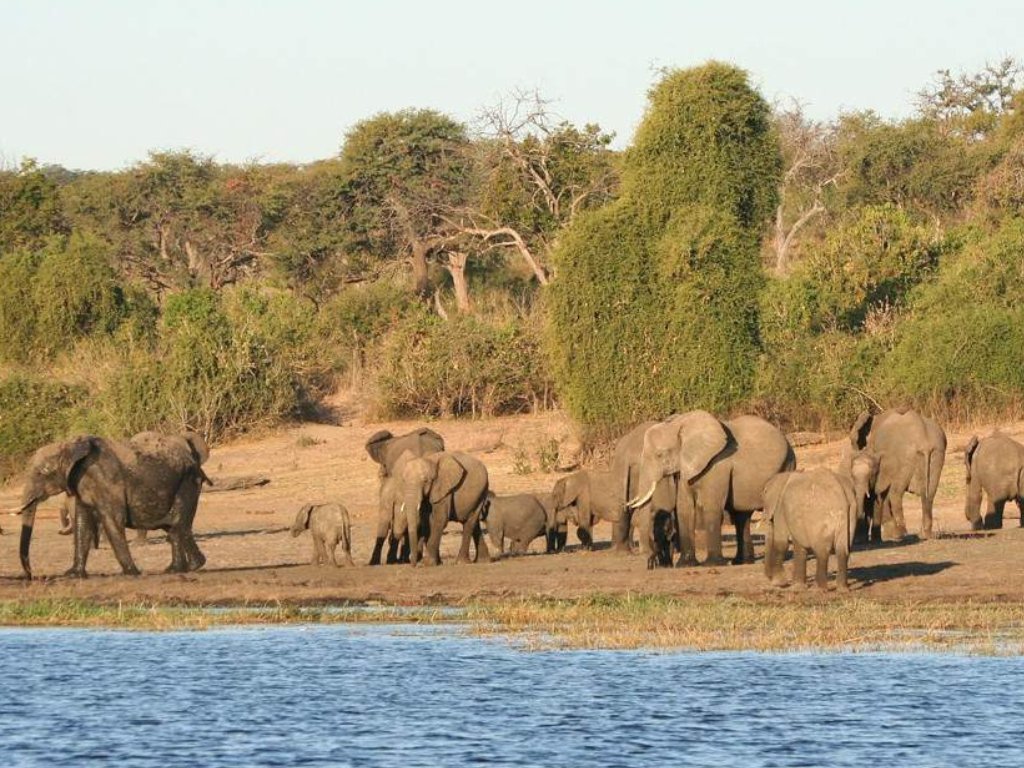 4-Day Big Five Chobe Park & Victoria Falls Tour