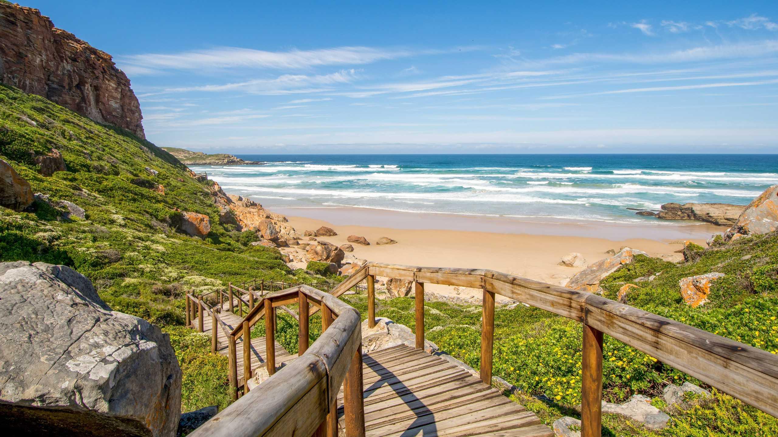 7-Day Garden Route & Cape Winelands Exploration