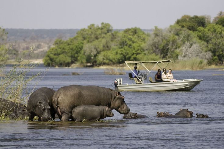 1-Day Wild Chobe Big Five Safari – Kasane Pickup