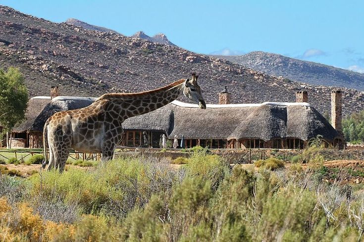 6 day Cape Town , Aquila safari & Sossuvlei tour