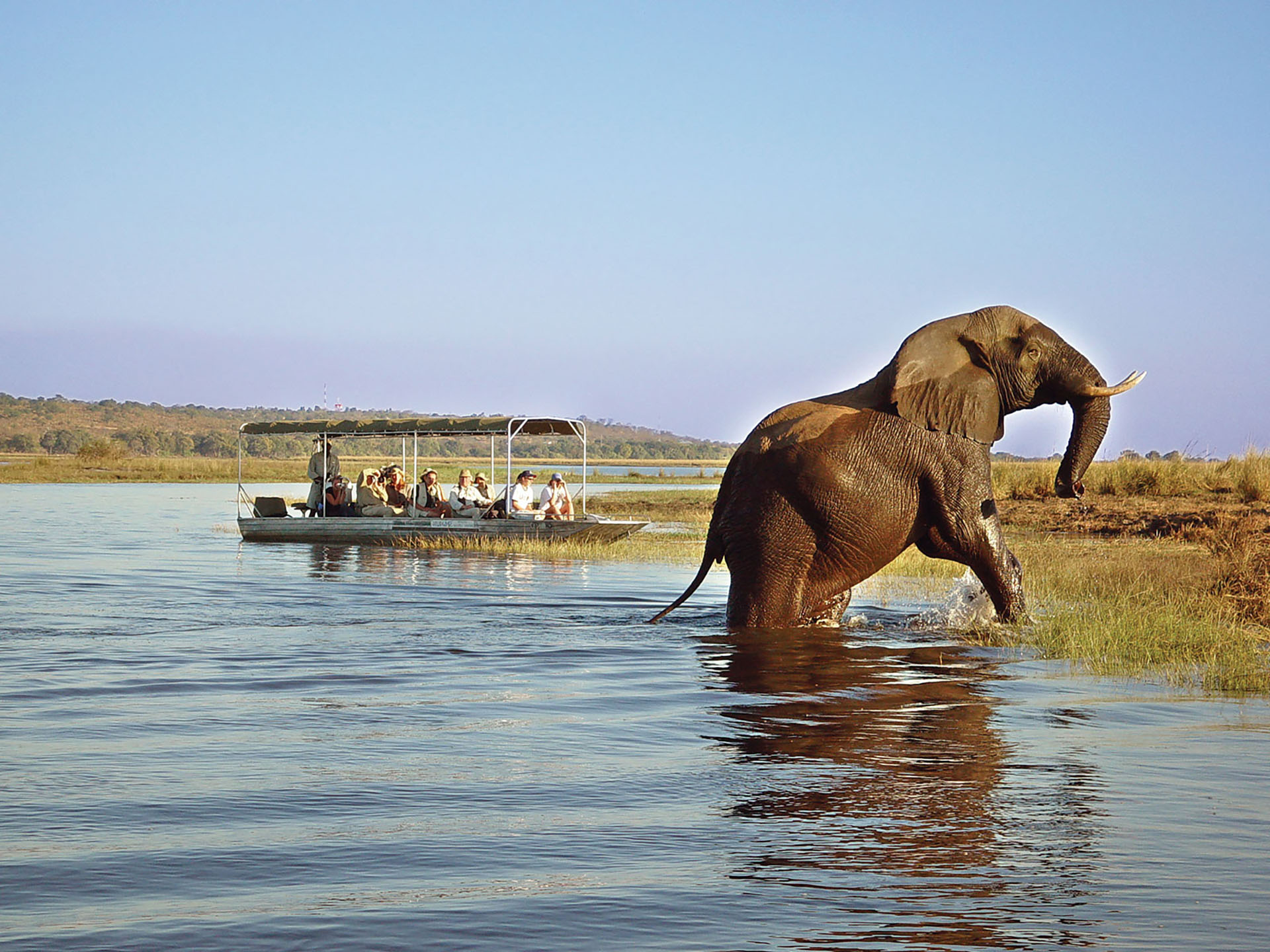 3-Day Authentic Chobe Safari – Big Five & Luxury Stay