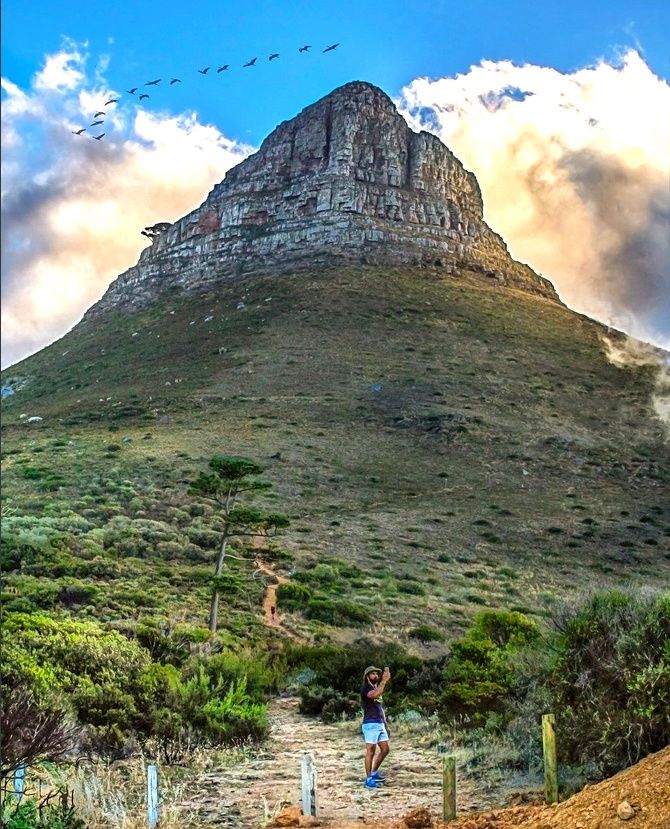 3-Day Safari and Wine Tour – Cape Town