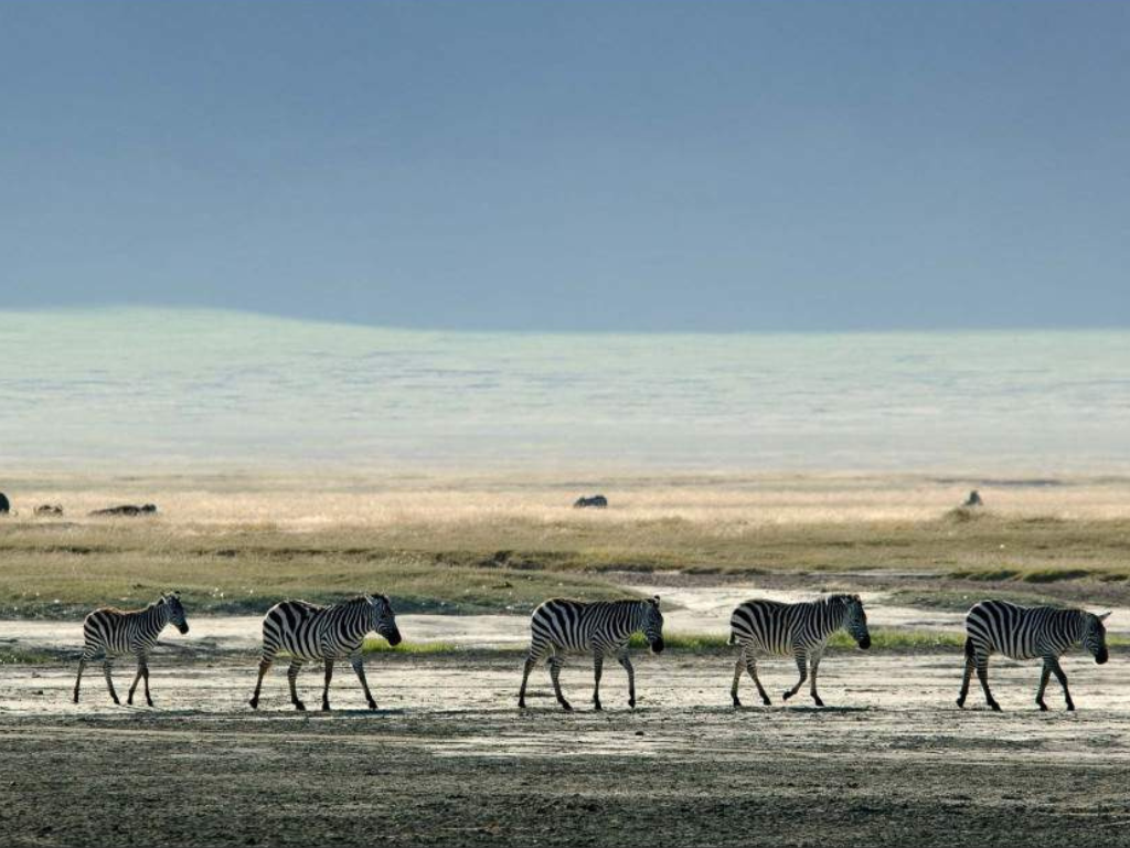 Safari y Playas – 9 Días: Lo Mejor de Tanzania y Zanzíbar