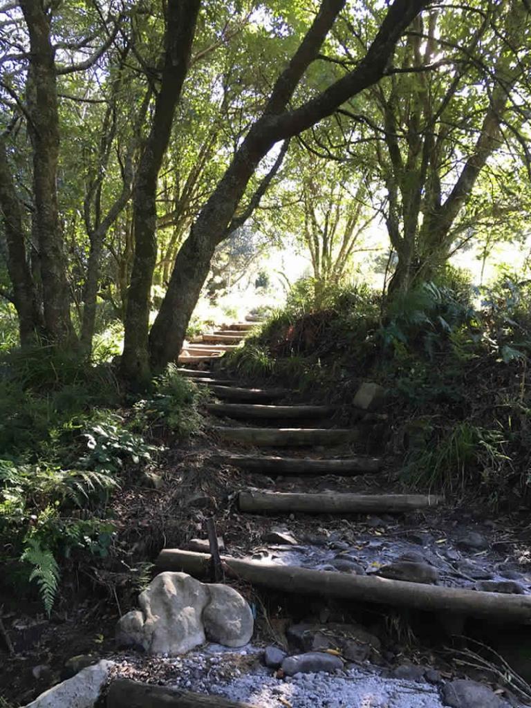 1-Day Skeleton Gorge Guided Morning Hike | ±6 Hours