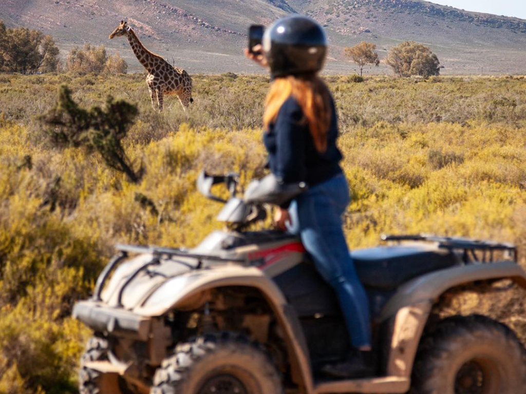 1-Day Aquila Wild Quad Escape