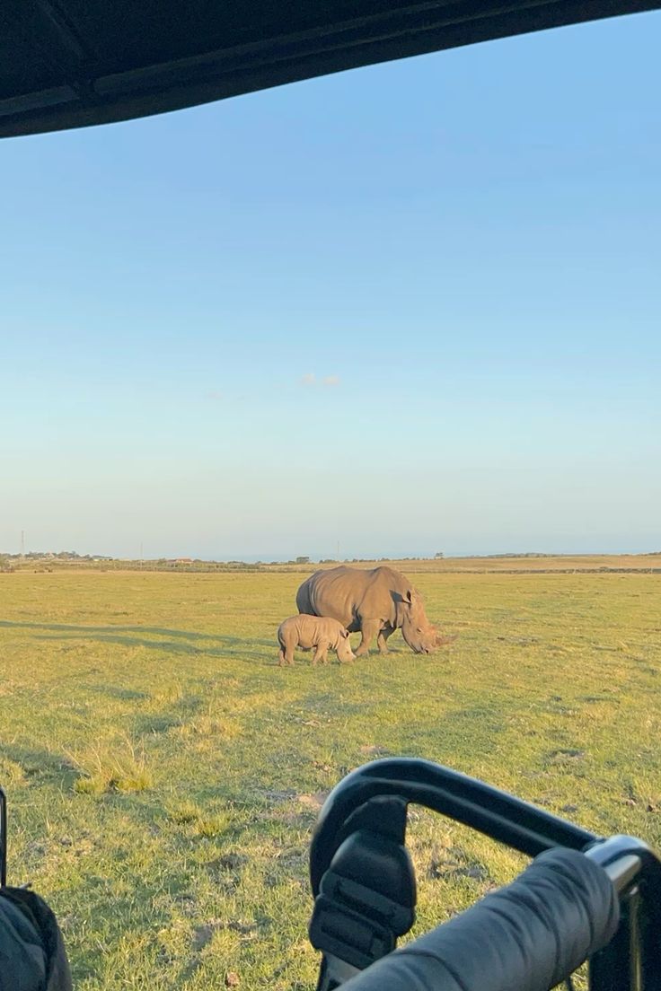 2-Day Etosha Safari from Windhoek – Lions, Elephants & More