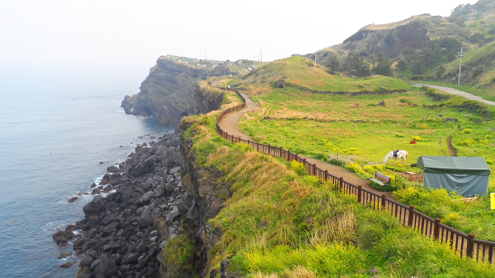 Jeju West Coast Shared Transport Tour (7 passengers max)