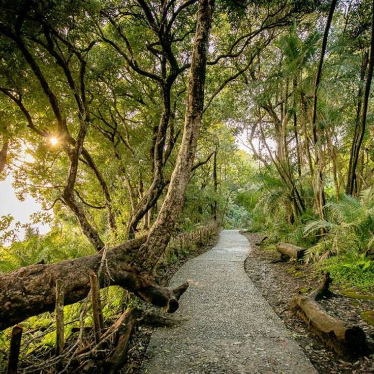 1/2 day Victoria falls bridge Tandem swing adventure