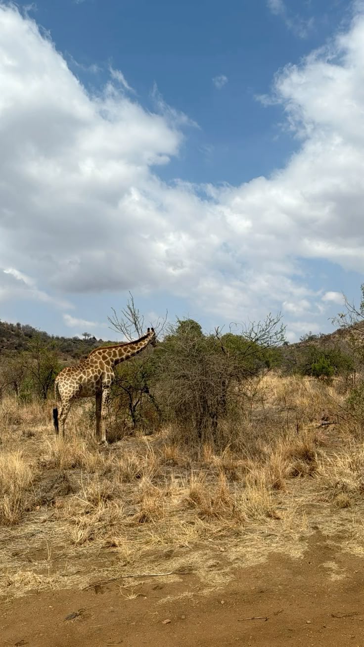 2-Day Sabi Sands Safari – Spot the Big Five