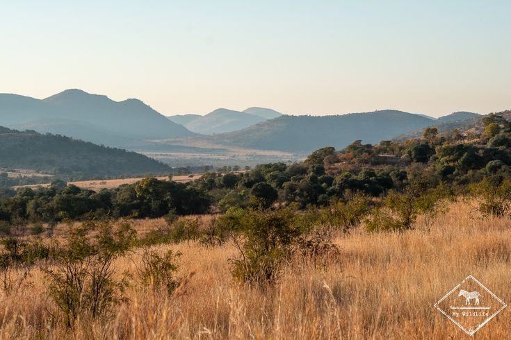 2-Day Authentic Big Five Camping Safari at Pilanesberg