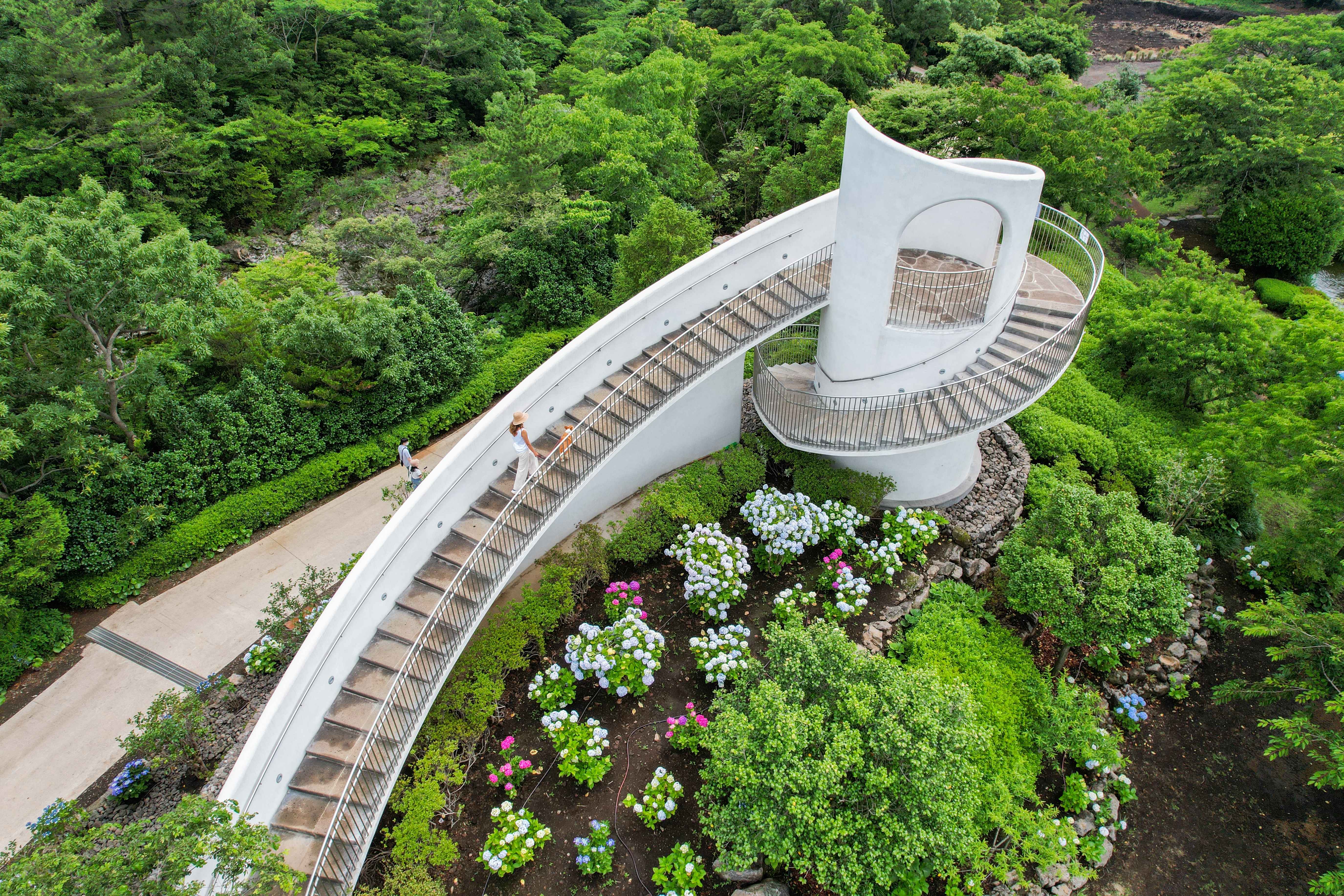 Jeju Customized Private Tour