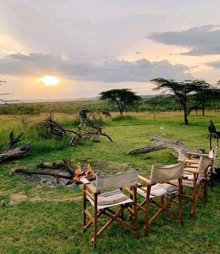 1-Day Pretoria City & Safari Park Adventure – The Best of Both Worlds