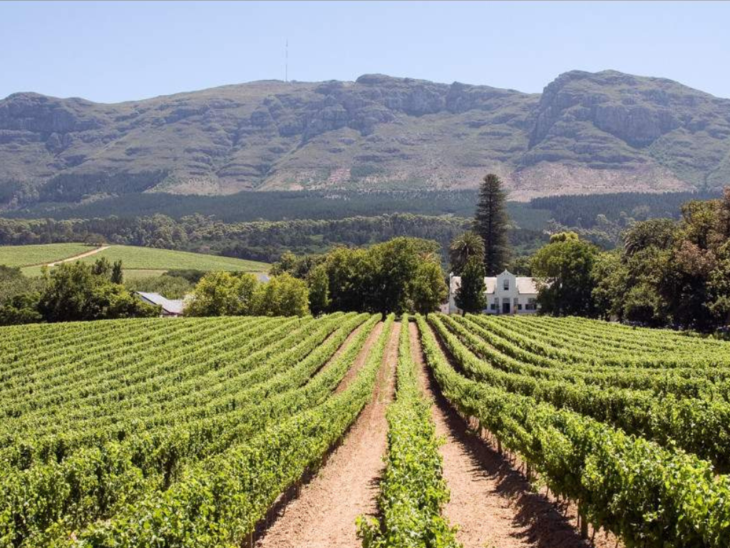 4-Day Safari & Scenic Tour – Cape Town to Garden Route