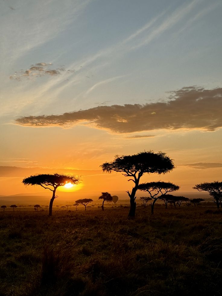 1-Day Wild Chobe Big Five Safari – Kasane Pickup